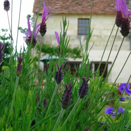 Le Moulin De St Blaise Отель типа 