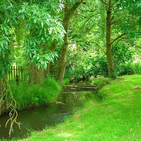 Le Moulin De St Blaise *